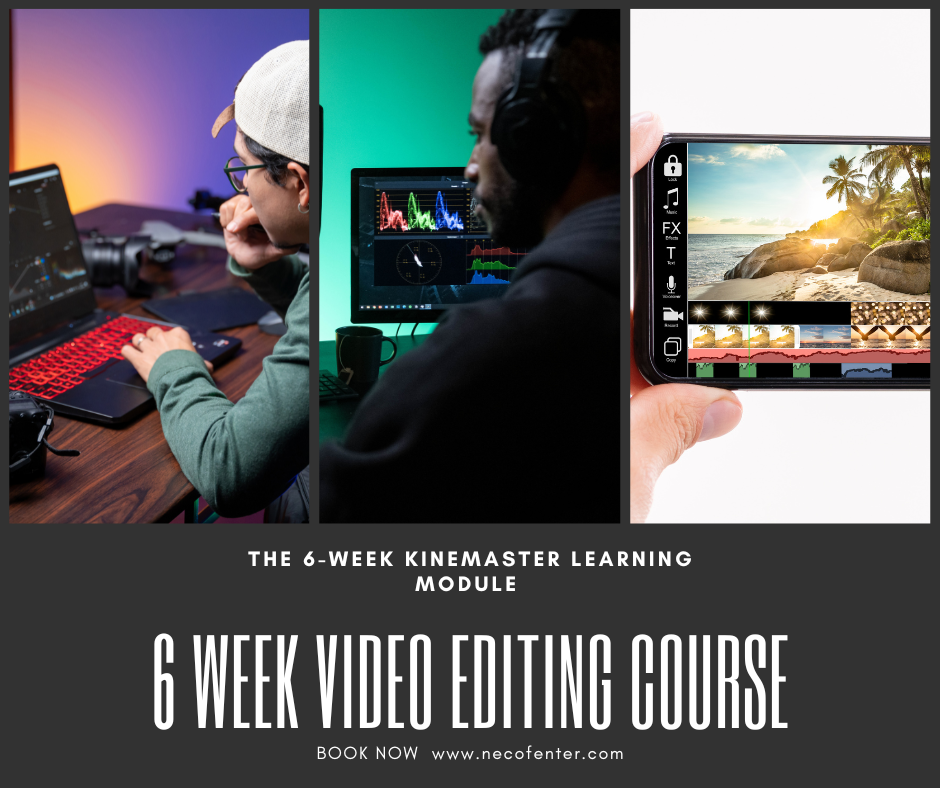 The 6-week KineMaster learning module .png (642 KB)